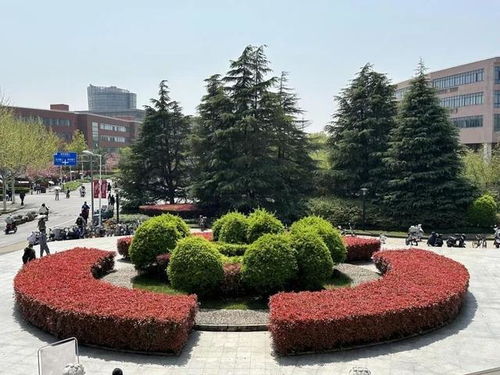 這三位 明星 ,你一定見(jiàn)過(guò)