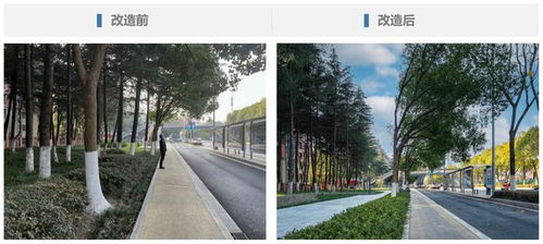 以匠心 筑精品 無(wú)錫地鐵代建太湖大道綠化提升工程煥新 靚 相