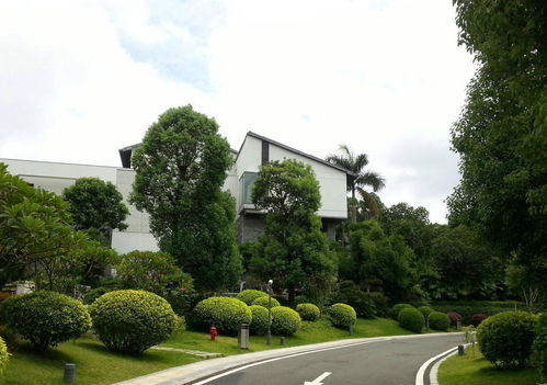 大業(yè)園林 園林綠化對(duì)一個(gè)城市的重要性