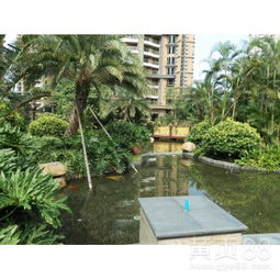 【工廠綠化養護、學校綠化養護、小區綠化養護修剪、園林綠化施工】-