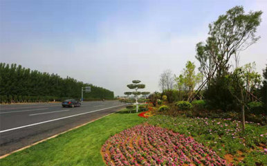 【聚焦發(fā)展瞰章丘】系列報道園林和林業(yè)綠化局:讓生態(tài)文明建設成果全民共享