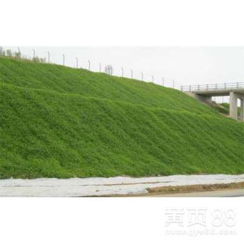 【自己的噴播設備,多年的綠化邊坡經(jīng)驗,承接邊坡綠化施工】- 